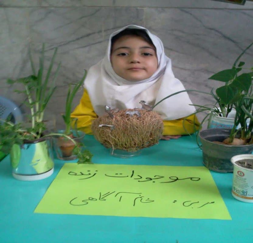 آشنایی با موجودات زنده